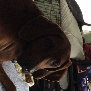 Meet your Posher, Cindy